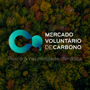 Curso de Introdução ao Mercado Voluntário de Carbono @ e-learning